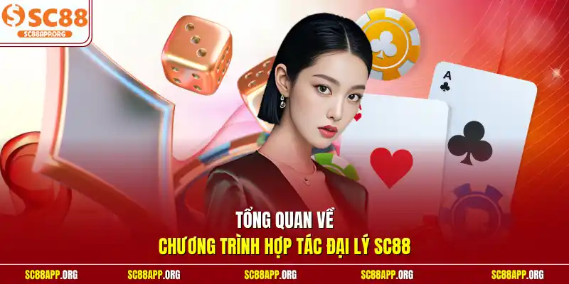 Tổng quan về chương trình hợp tác đại lý SC88